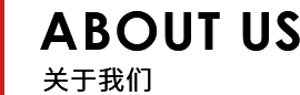 ˾